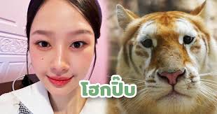 โฮกปิ๊บ! รู้จัก 'เอวา-ลูน่า' สองเสือหน้าแบ๊ว ที่สาว 'มิ้ลค์'  อยากกลับบ้านไปดู