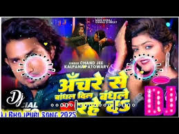 lahe lahe rangab salwarwa instagram viral dj song #Holi2024 viral pawan  singh song #biraha dialogue