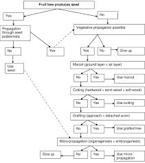A Decision Tree Based On Logic Processes That Guide The