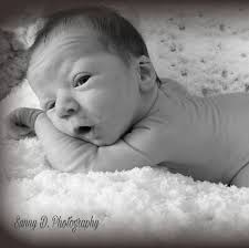 Sunny D. Photography