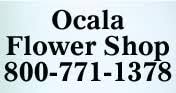 Jude place, memphis, tn 38105 and jefferson county little league, post office box 339, ranson, wv 25438. Ocala Florist Flower Delivery By Ocala Flower Shop