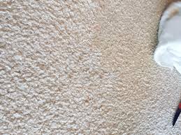 How to get tomato sauce out of carpet. How To Remove Tomato Sauce From Carpet