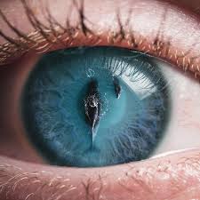 Image result for artistic divergence eyeballs
