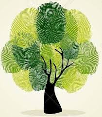 Pin By Mrs C On Daksh Kids Art Projects Art For Kids Plant Art Print