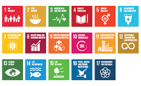 Their purpose is to guide global what are the sdgs? The Importance Of The Un Sustainable Development Goals