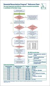 Nrp Et Tube Size Chart Www Bedowntowndaytona Com