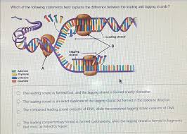 Dna Replication - Cell Biology Flashcards | Ditki Medical And Biological  Sciences