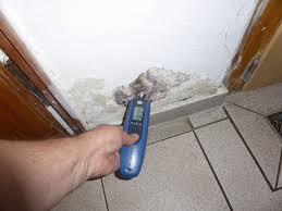 Um eine nasse wand erfolgreich trockenlegen zu können, ist oft hoher aufwand gefragt. Trockenlegung Wie Wir Ihr Haus Trockenlegen R K Werterhaltung