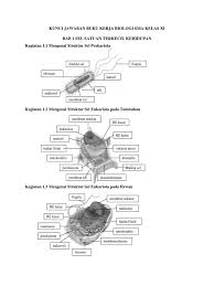 Feb 19, 2021 · kunci jawaban pg biologi sma kelas 11 kurikulum 2013 erlangga irnanintiyas bab 7 sistem pernapasan bab 7 sistem pernapasan. Kj Bupena Kls 11 Pdf