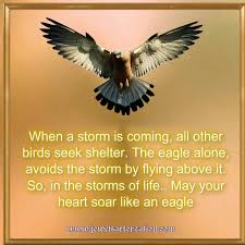 Rising Into Your Divine Light Beingdivinelight In 2021 Life Quotes Inspirational Quotes Life A person who is aware of what he is good at is more insightful and more likely. life quotes inspirational quotes
