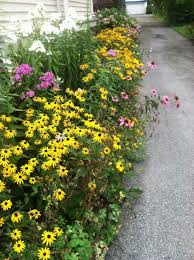 Maybe you would like to learn more about one of these? Gardening In Small Spaces