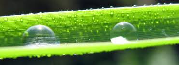 Compare local sprinkler system experts with reviews from your neightbors. Sprinkler Master Repair Kuna Id 208 398 3471 We Fix Sprinklers