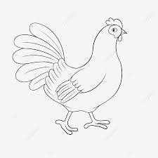 Bagi yang baru pertama kali naik kereta api atau sudah beberapa tahun tidak naik kereta api, berikut ini kami sampaikan cara boarding di stasiun kereta api. Gambar Clipart Ayam Hitam Dan Putih Seni Klip Draf Garis Animasi Png Dan Psd Untuk Muat Turun Percuma