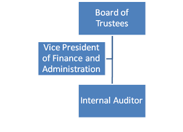 Organizational Chart Internal Audit Department