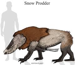 Image result for Exotheca