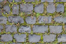 Pin Auf Garten Ideen