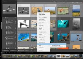 For more information on batch editing in lightroom mobile click here. Don T Lose Your Edits In Adobe Lightroom Automatically Save Metadata To Xmp Photojoseph Com