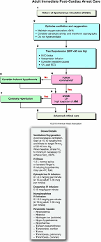 Prompt identification and treatment of the cause of cardiac arrest; Adult Immediate Post Cardiac Arrest Care Rosc Globalrph