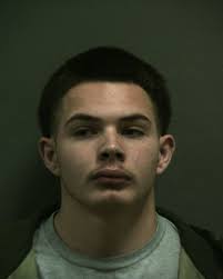 JOSEPH AUGUSTINE LUERA Booked: 12/08/2018 Released: 12/08/2018 POSS MARIJ  <=2OZ Offense date 12/08/2018 Bond/Type: 1,500.00 Surety Bond Booking #:  1855946 Desc White Male 5' 6" 165 lbs Alias Hair Brown SO #