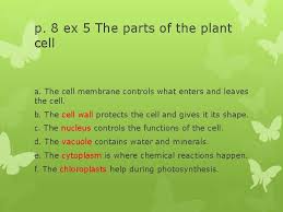 Maybe you would like to learn more about one of these? Science 5 Topic 2 The Plant Kingdom Pupils