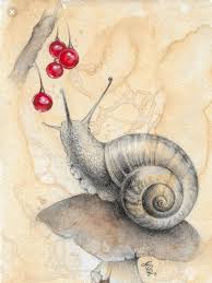 Pin Na Doske L Escargot Et Sa Maison Sur Le Dos