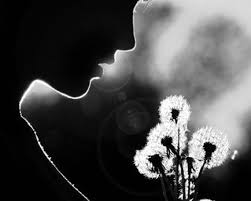 Black And White Photoshoot Ideas 3 Day Quote Challenge Resilience White Photography Black And White Photography Black White Photos