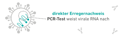 How and when will i get my test results? Pcr Direktnachweis Des Coronavirus Sars Cov 2 In Ihrem Ladr Labor Ladr Wir Leben Labor