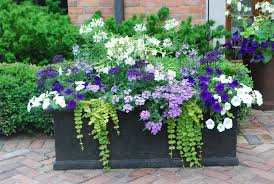 99 Simple Summer Container Garden Flowers And Formula 17 99architecture Container Gardening Flowers Summer Planter Container Gardening