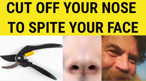 Cutting off your nose to spite your face. Idioms Cut Off Your Nose To Spite Your Face Cut Off Your Nose To Spite Your Face Explained Youtube