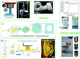 3d model of plant cell using recyclable materials. 3d Printing Of Biomass Derived Composites Application And Characterization Approaches Rsc Advances Rsc Publishing