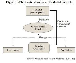 Takaful is a way of assuring your life. Microtakaful Financial Inclusion And Microtakaful Takaful Feature