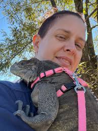 Can I take lorazepam for a sleep study at home?