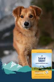 Natural Balance Pet Foods Naturalbalance Profile Pinterest
