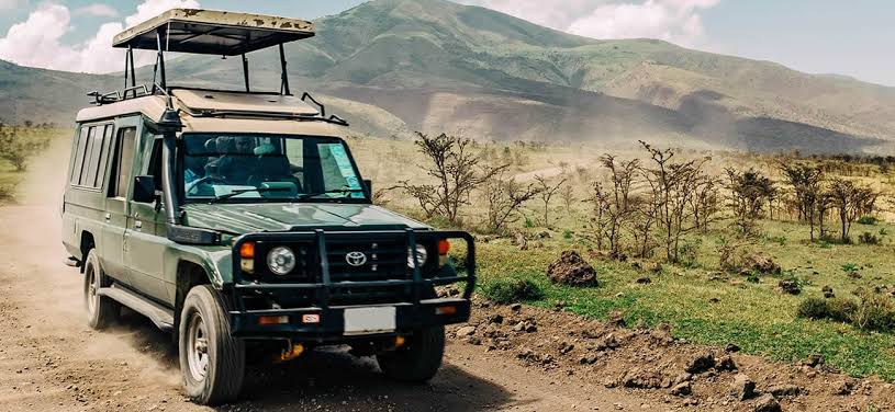Safari Car Rental Rwanda: Best 4x4 Gorilla Trekking Guide - Rwanda Car Rent