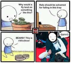 Pin By Rachel Burdick On Jiu Jitsu Bjj Memes Jujitsu Jiu Jitsu