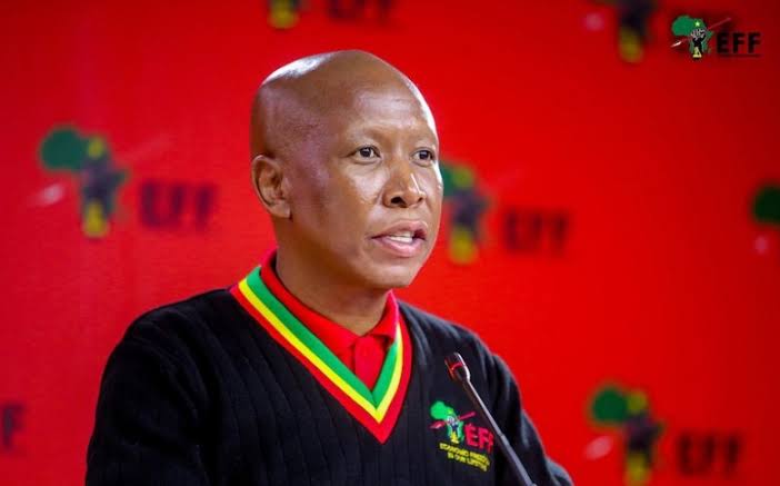 In a world of 'Afrophobia', be Julius Malema - The Observer Media Ltd