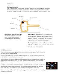 With that said, an rbc doesn't have the components or functionality that a plant cell has. Biology