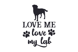 Download Love Me Love My Lab Svg Cut File By Creative Fabrica Crafts Creative Fabrica SVG Cut Files