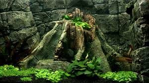 Ghim Tren Aquarium Travel
