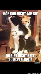Check spelling or type a new query. Elektriker Der