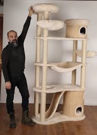 Siparis Numarasi 0507 664 22 22 2020 Kedi Oyun Evleri Renkler