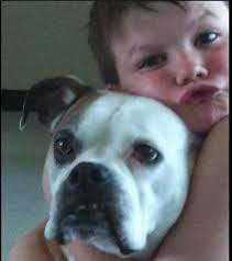 My Name is Petey and I Need Help Getting Home