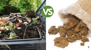Button mushroom compost is made in highly controlled unit which gives best results to farmer. Compost Vs Manure The Best For Your Soil Health