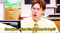 The Office Rainn Wilson Dwight Schrute John Krasinski Jim Halpert Capscheme