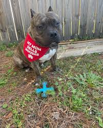 Profile for Georgette Benton, Realtor