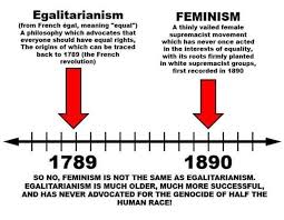 Egalitarianism Vs Feminism Feminism Anti Sjw Equal Rights