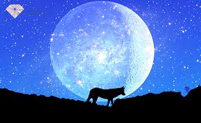 Dealing with new intrigue and politics, he will have to decide who he can trust while trying to save his adopted daughter.along with the lives of. The Meaning Of Wolves Biting Or Attacking In Your Dream