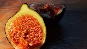 We did not find results for: Higo Como Remedio Natural Para La Tos Estrenimiento Y Cicatrizacion Agroempresario Com