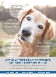 12.10.2021 · trupanion pet insurance plans. Pet Health Insurance Company Trupanion Sets Ipo Terms Plans To Raise Up To 122 Million Geekwire