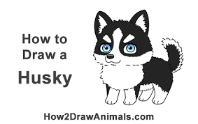 How To Draw A Dog Cartoon Husky Cute wolf drawings cute disney drawings cute kawaii drawings easy drawings cute cartoon drawings cartoon bat cartoon wolf cute cartoon animals wolf cute siberian husky dog paws up over wall cartoon. how to draw a dog cartoon husky
